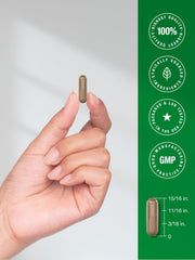 Hoja y fruto de graviola junto al frasco Horbäach mostrando origen botánico y mezcla fruto-hoja