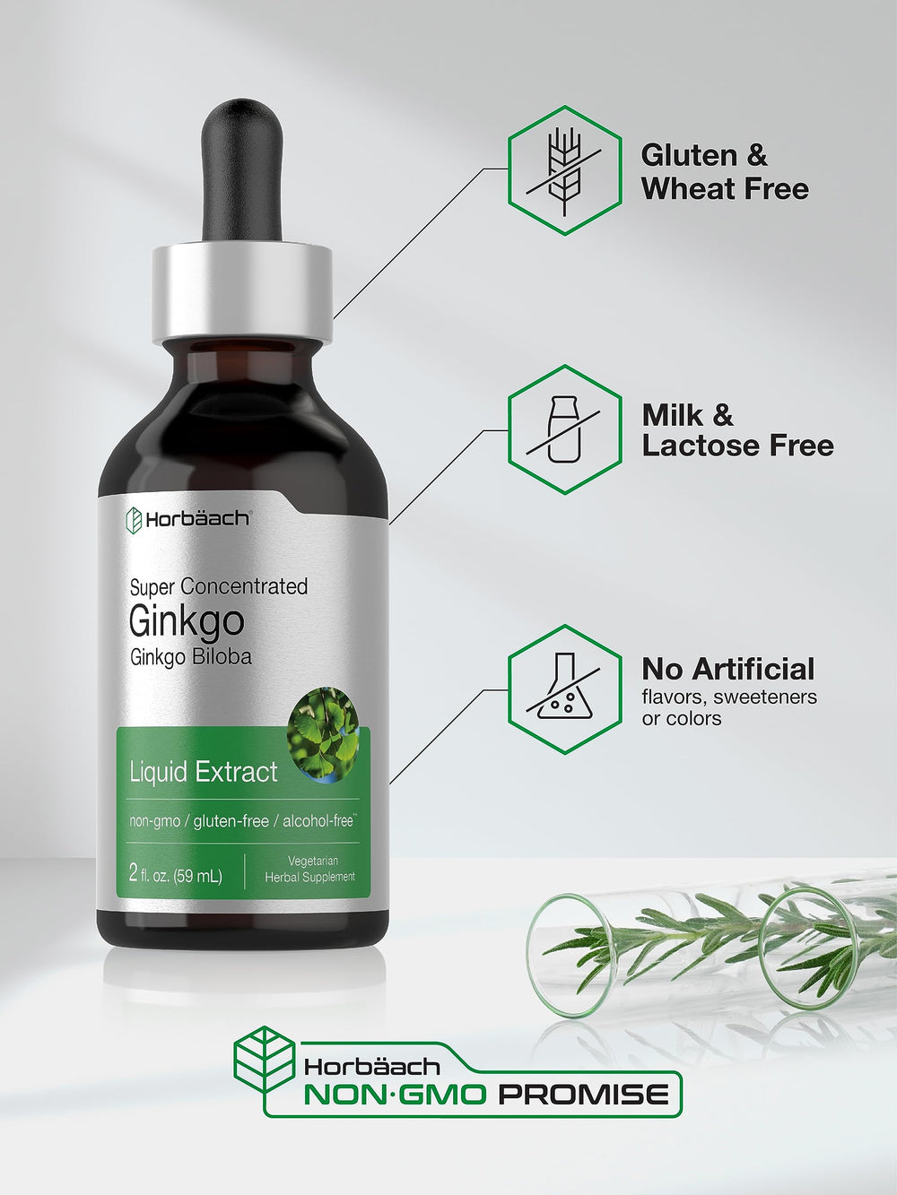 Horbäach hojas de ginkgo que ilustran origen botánico natural