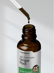 Horbäach raíz de jengibre fresca junto al producto para mostrar origen natural