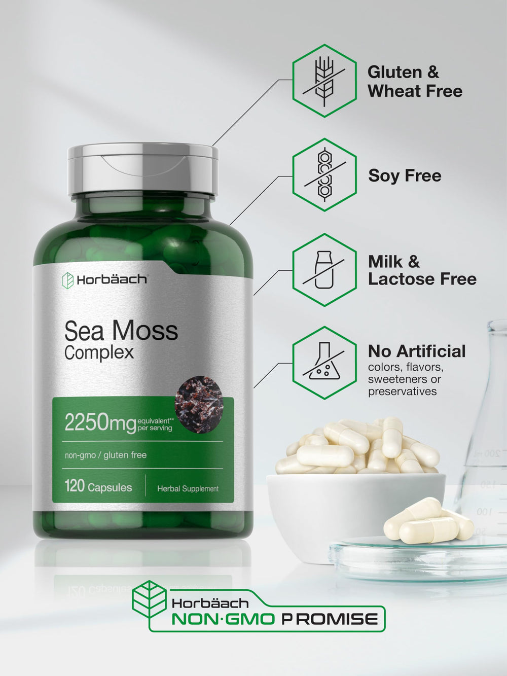 Horbäach ingredientes display con sea moss, bladderwrack y bardana