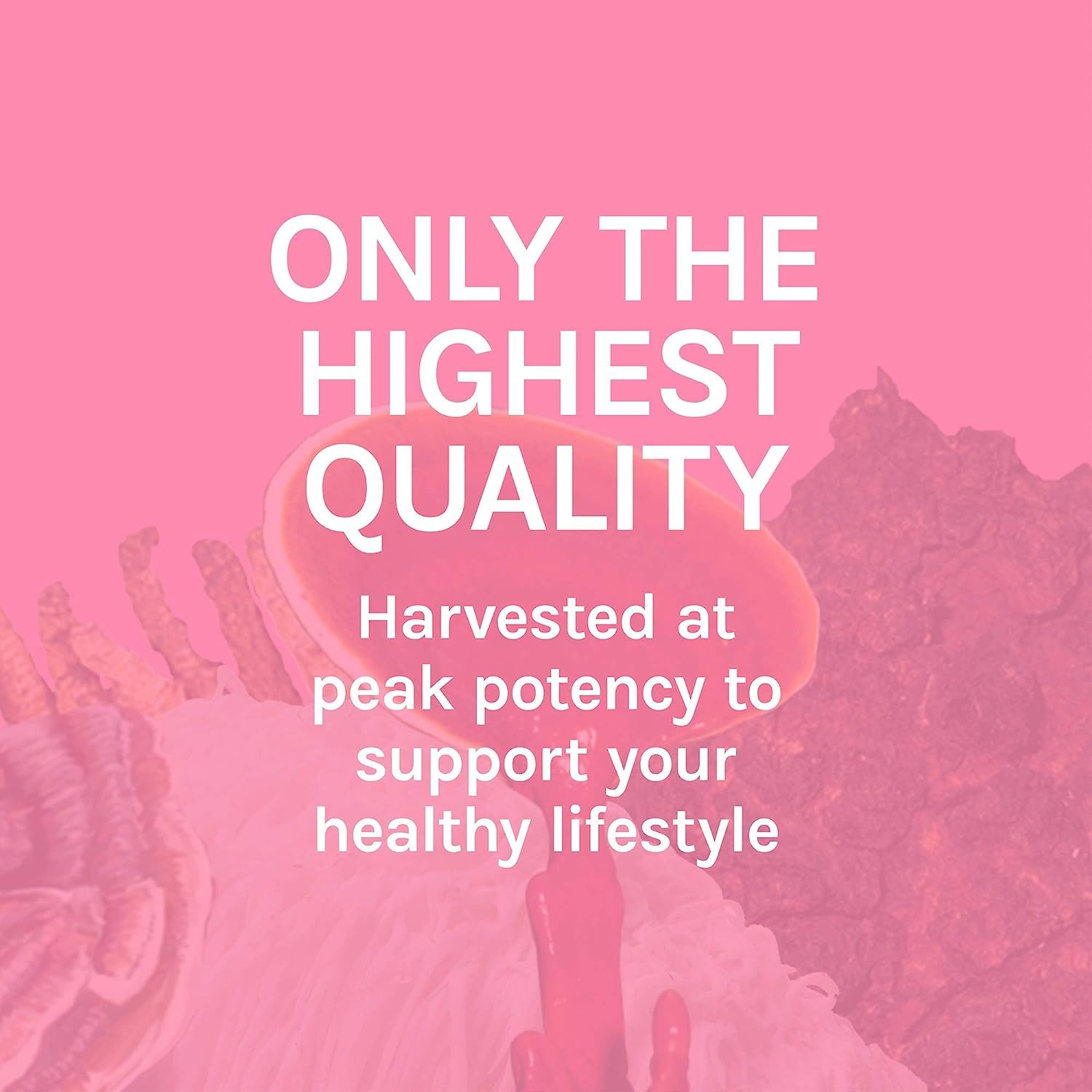Host Defense etiqueta nutricional legible con detalles de ingredientes