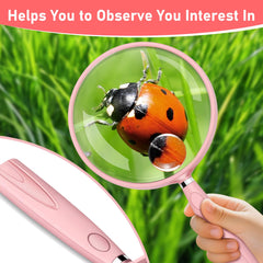 HQGZQL observación de insectos en campo para educación