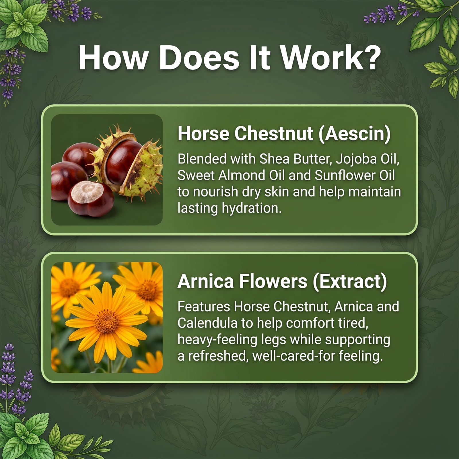 Hswera Sorviq ingredientes con castaño y árnica para confort botánico