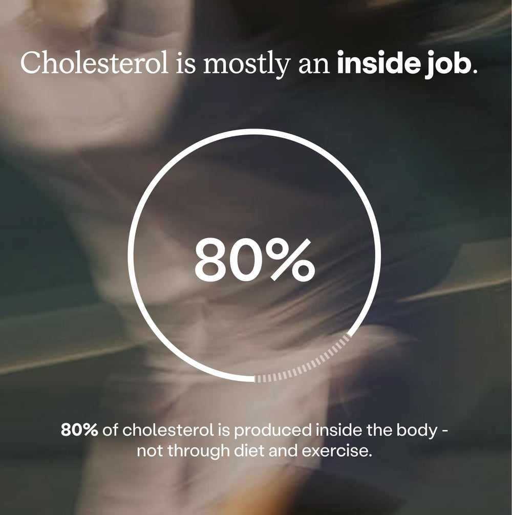 HumanN estilo de vida activo, complemento para bienestar cardiovascular