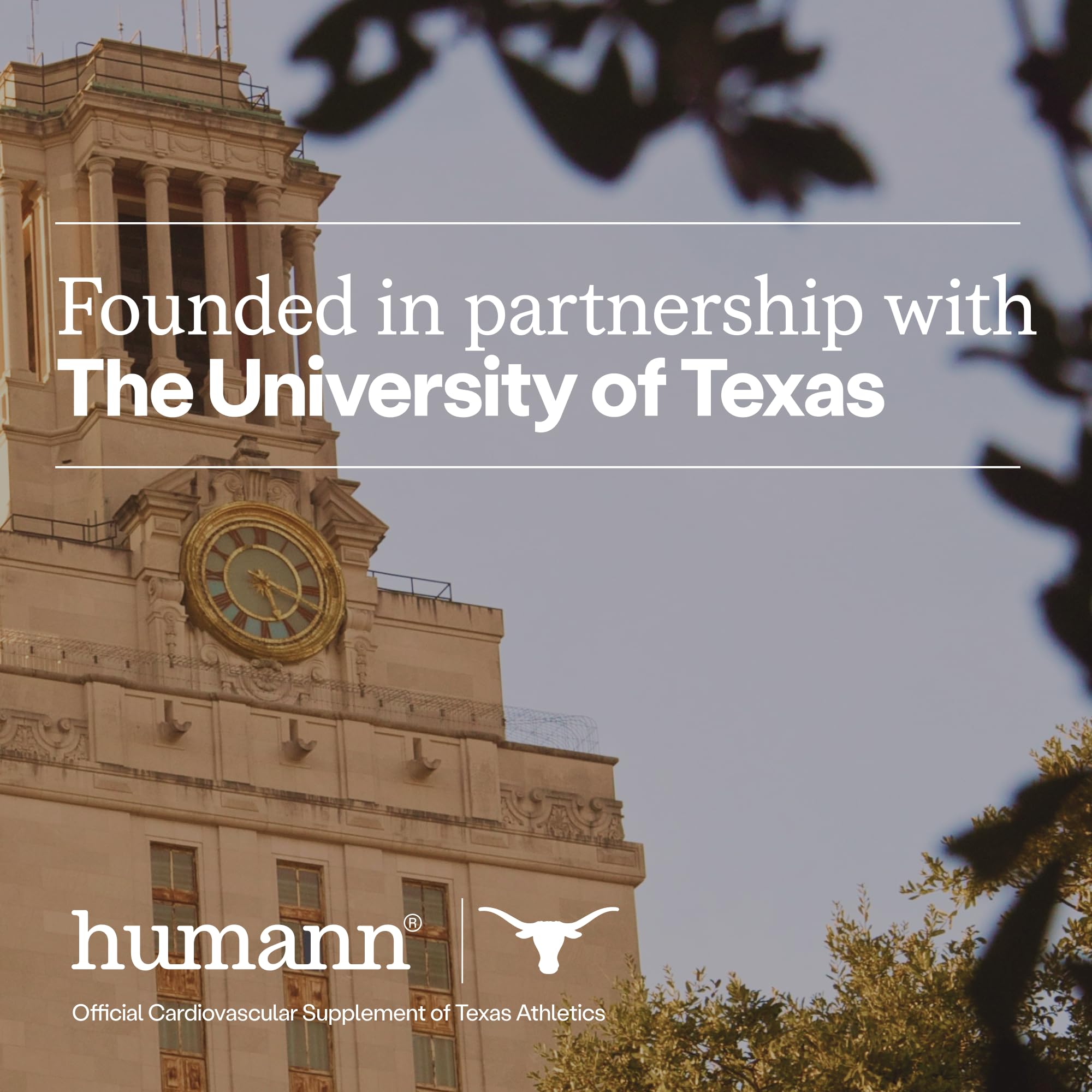 HumanN cápsula abierta mostrando contenido de remolacha útil