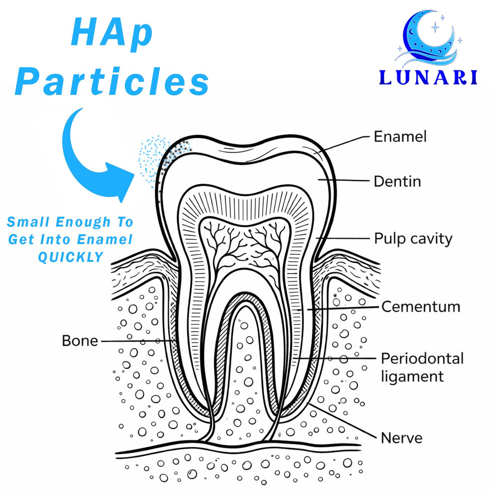 Generic hidroxiapatita aplicándose con cepillo para mejorar el brillo dental