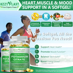 HZZYPLANT cápsula en mano para mostrar tamaño y facilidad