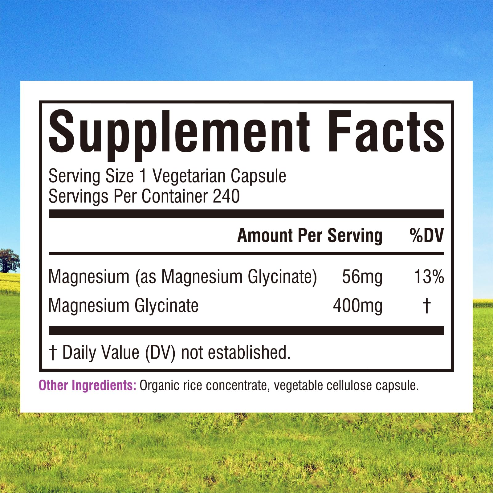 Innate Vitality cápsulas veganas en primer plano mostrando tamaño y acabado