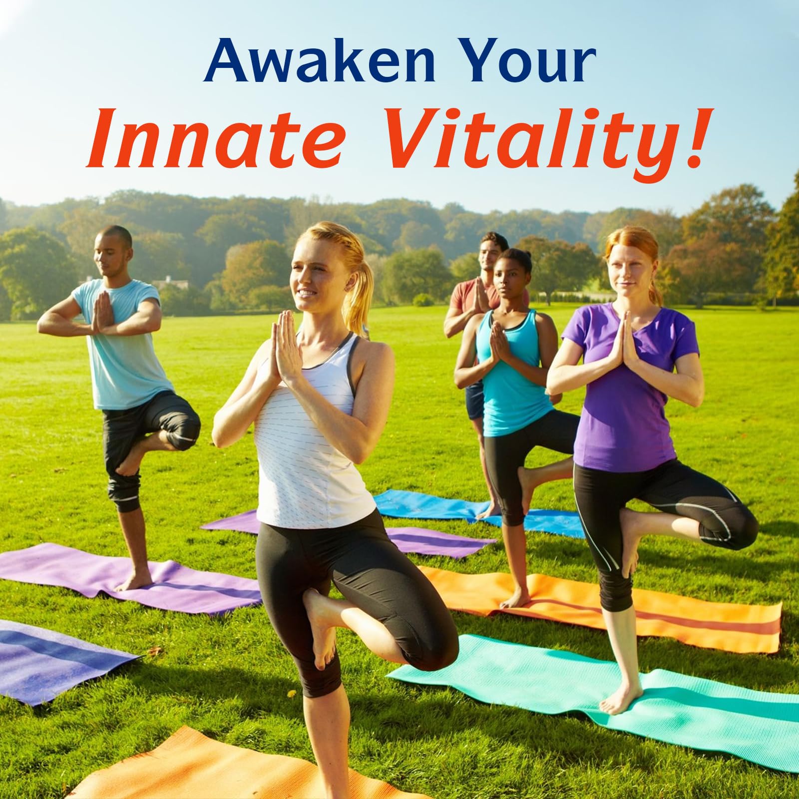 Innate Vitality certificado GMP en fábrica para confianza en la fabricación