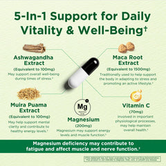 INNERVISNUTRITION detalle de la caja con lista de ingredientes clave