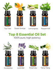 InnoGear ocho aceites esenciales en caja, variedad para aromas distintos
