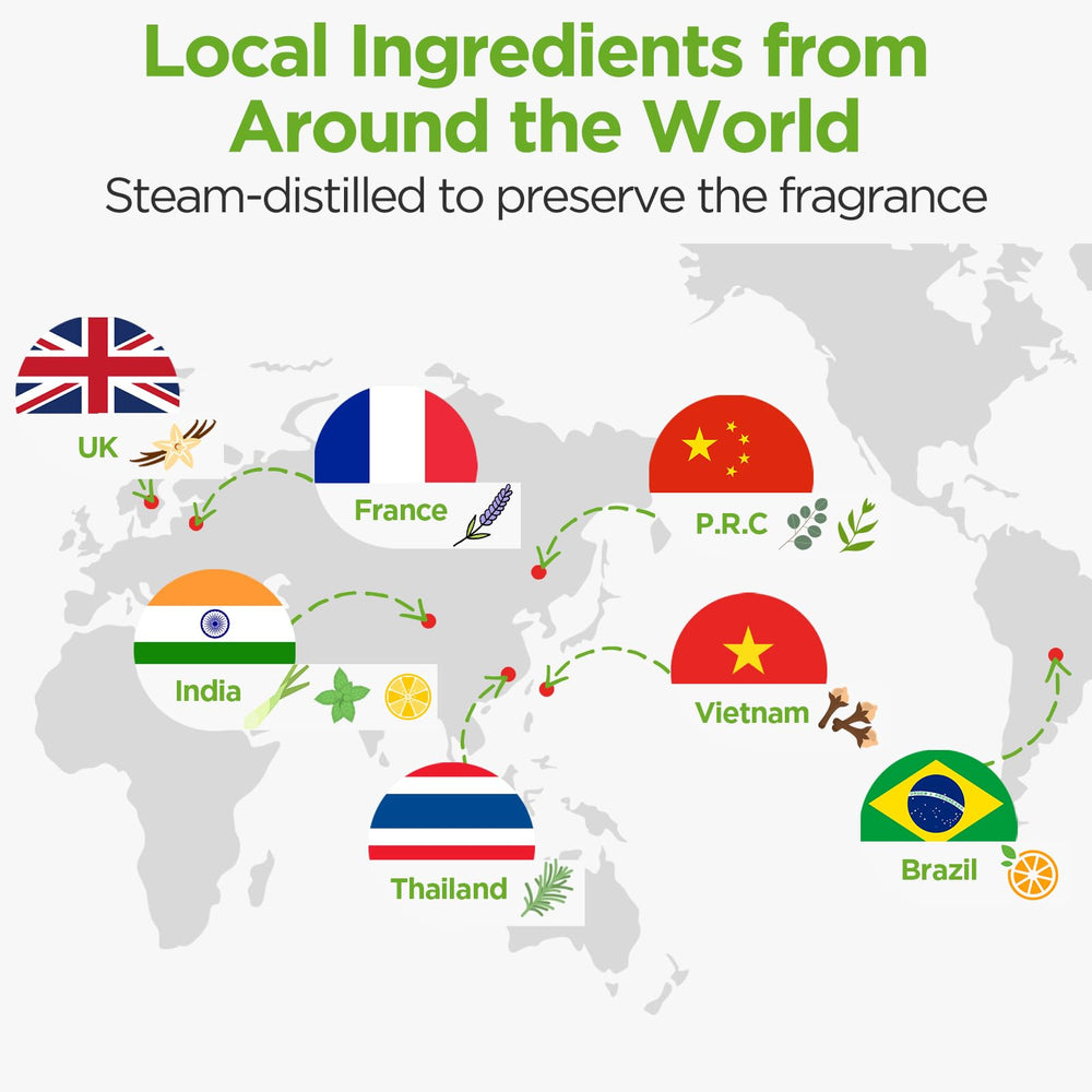 InnoGear emitiendo niebla en salón, humidificación silenciosa y continua