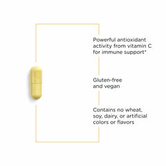 Integrative Therapeutics vista de polvo ilustrativo destacando pureza