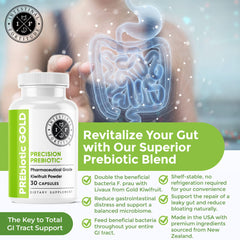 Intestinal Fortitude polvo Livaux de kiwi dorado resaltando origen y potencia