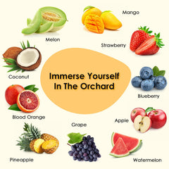 INWICOPH caja regalo abierta lista para obsequiar y sorprender