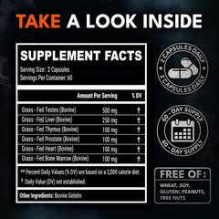 IRONCLAD NUTRITION frasco en mano para comparar tamaño y dosis práctica diaria