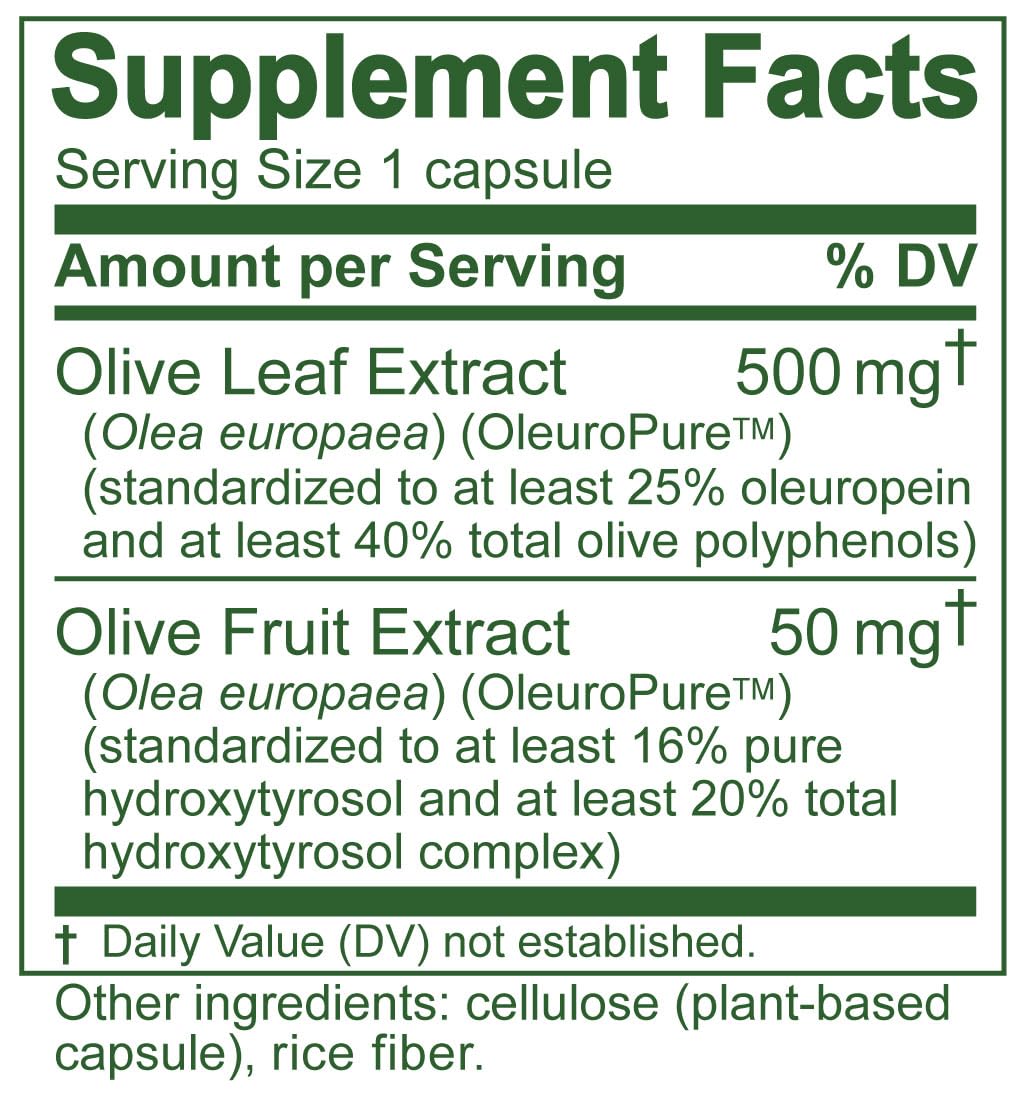 Island Nutrition hojas de olivo en olivar español destacando autenticidad