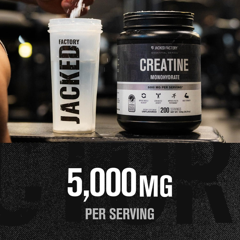 Cucharada con 5 g de Jacked Factory creatina representando la dosis diaria exacta