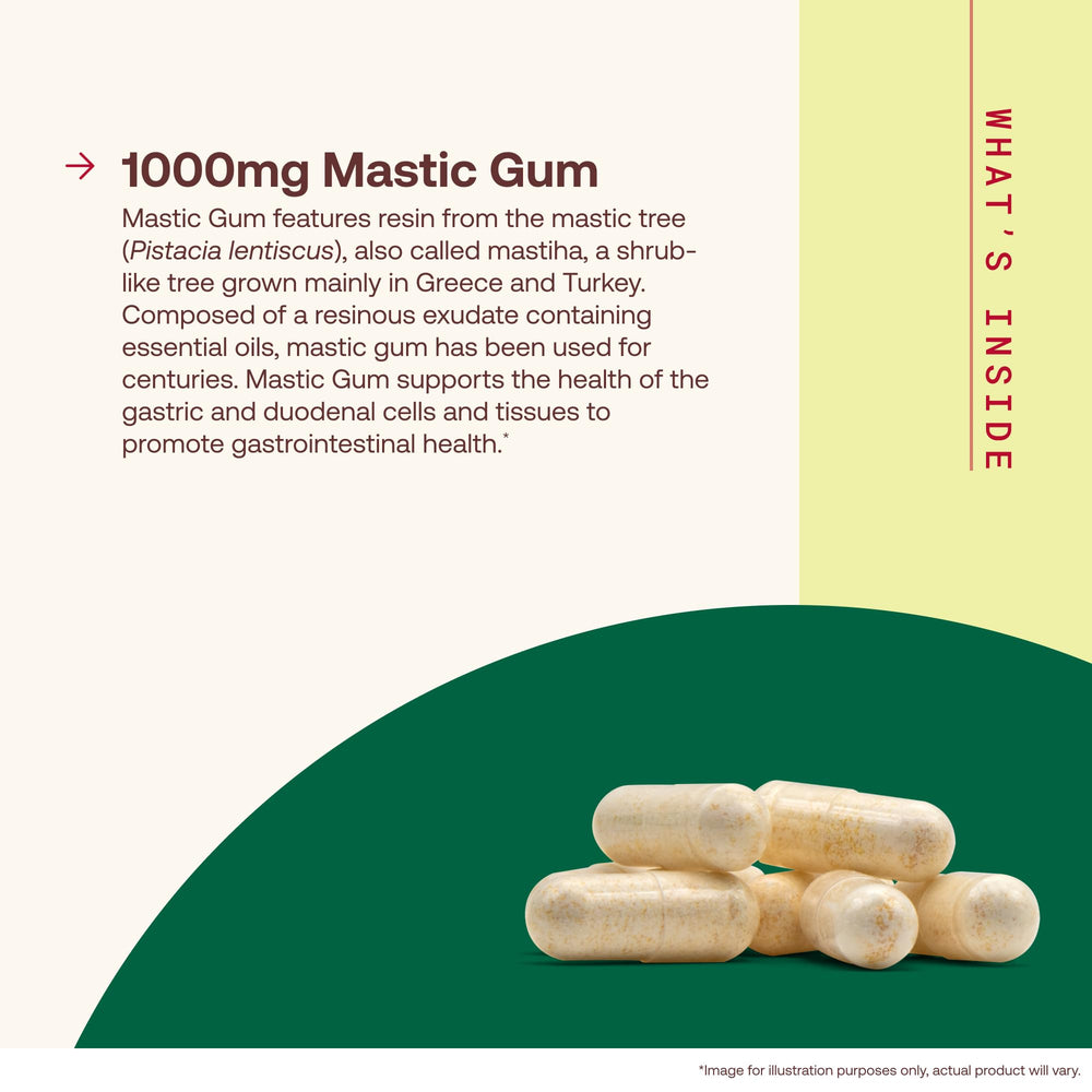 Jarrow Formulas resina de mastic en primer plano, origen natural