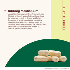 Jarrow Formulas resina de mastic en primer plano, origen natural