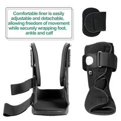 Jewlri forro removible lavable para higiene y mantenimiento fácil