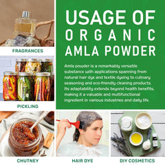 Escena de estilo de vida saludable con Jiva Organics amla en la encimera
