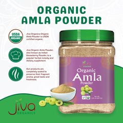 Mascarilla capilar casera con polvo Jiva Organics para brillo natural