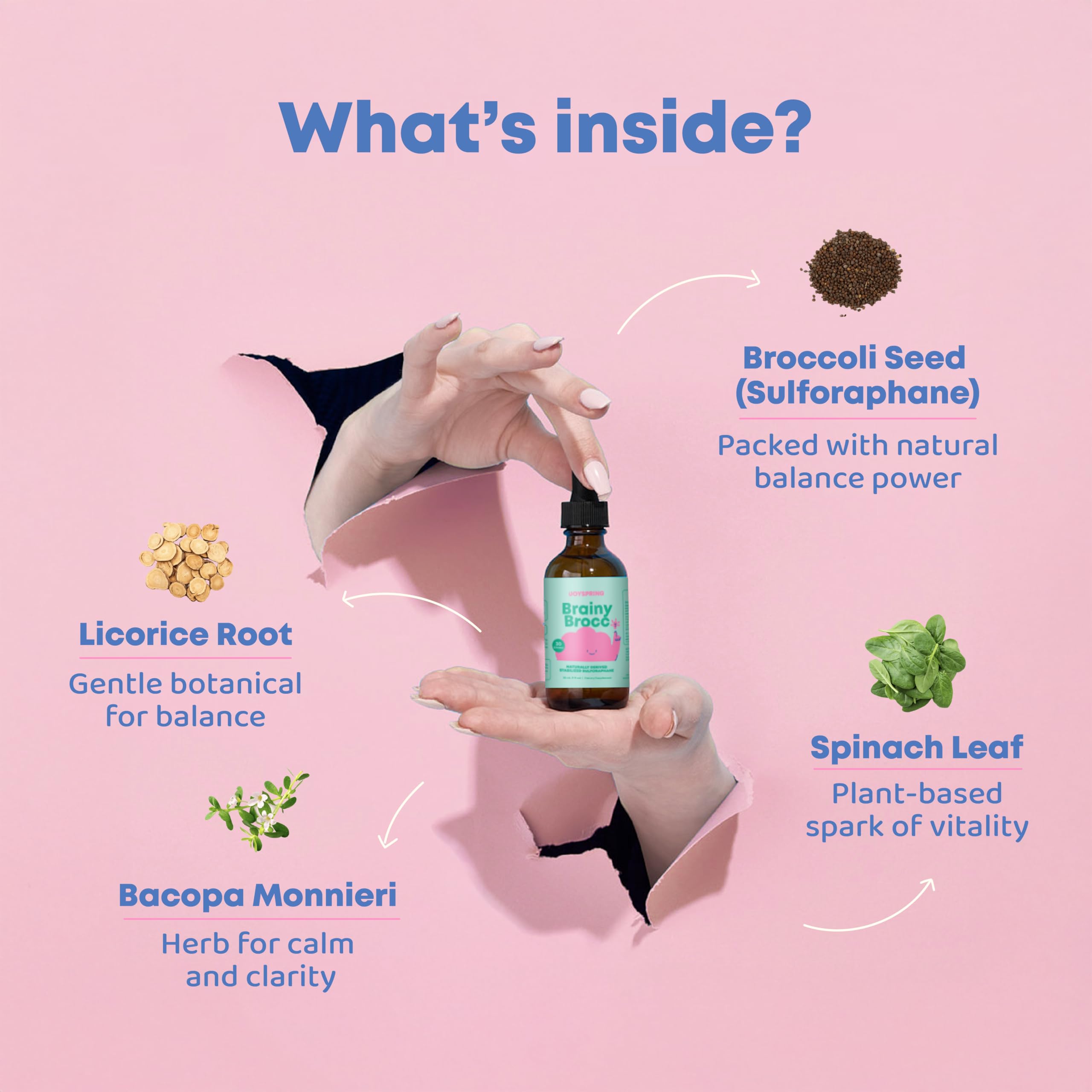JoySpring close-up de la lista de ingredientes orgánicos resaltando su formulación limpia