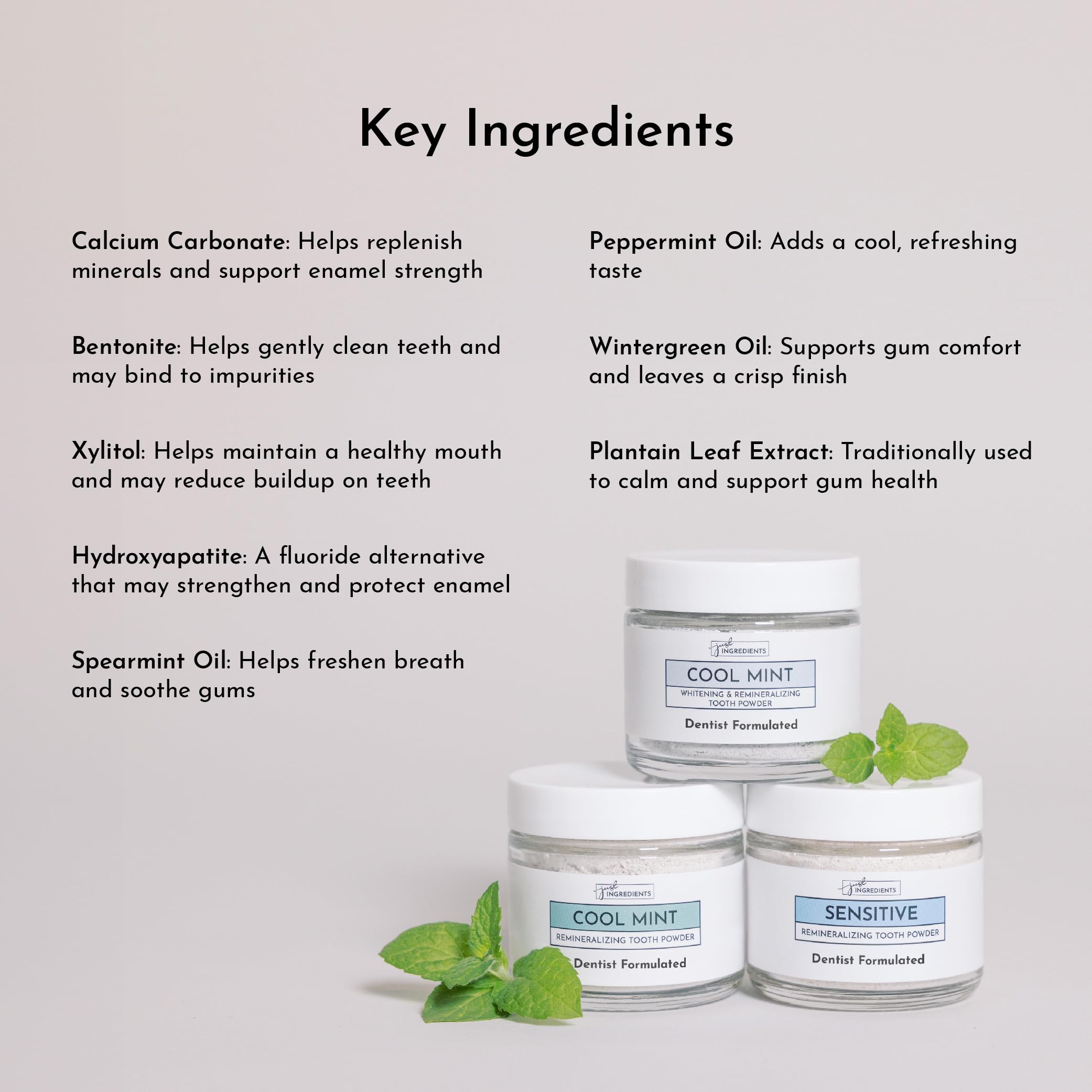 JUST INGREDIENTS polvo en cepillo mojado, aplicación diaria fácil