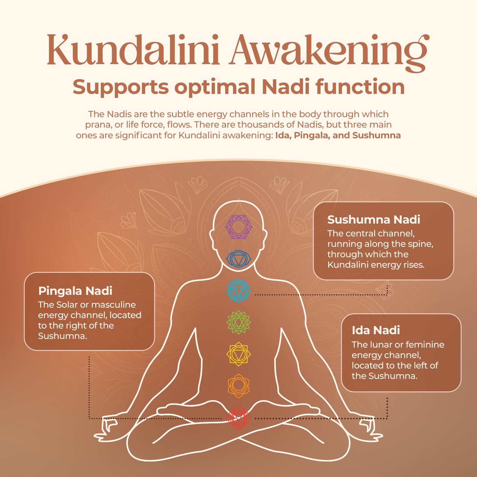 Kailash Herbals suplemento junto a persona en meditación para apoyo