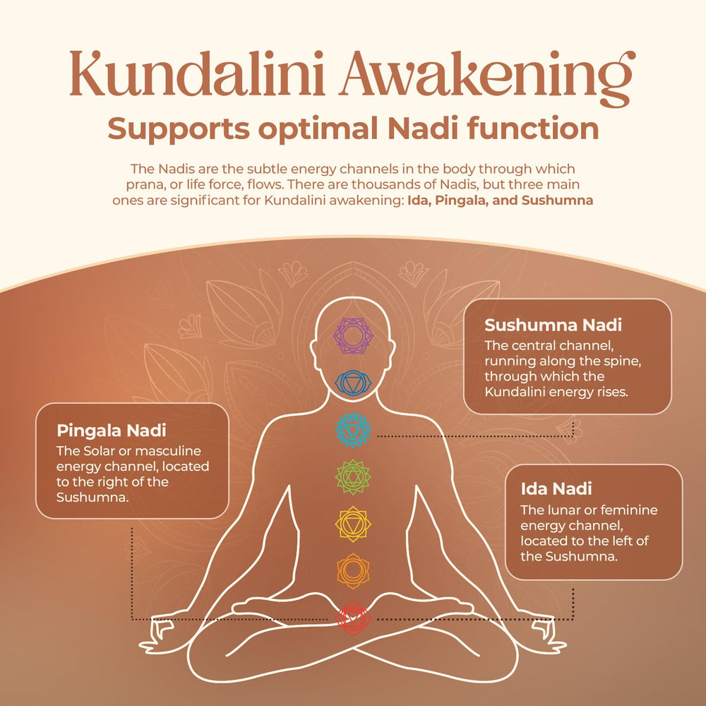 Kailash Herbals suplemento junto a persona en meditación para apoyo