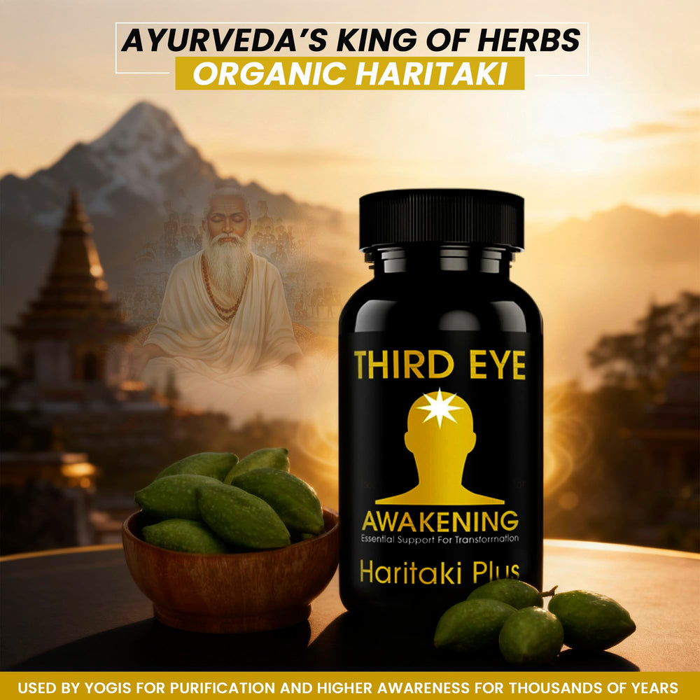 Kailash Herbals polvo de Haritaki en cuchara, origen himaláyico y pureza visible