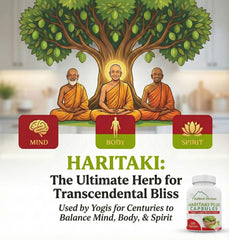 Kailash Herbals polvo de extracto mostrando textura y pureza visible