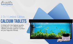 KatsAquatics caracol junto a tableta promoviendo conchas más fuertes