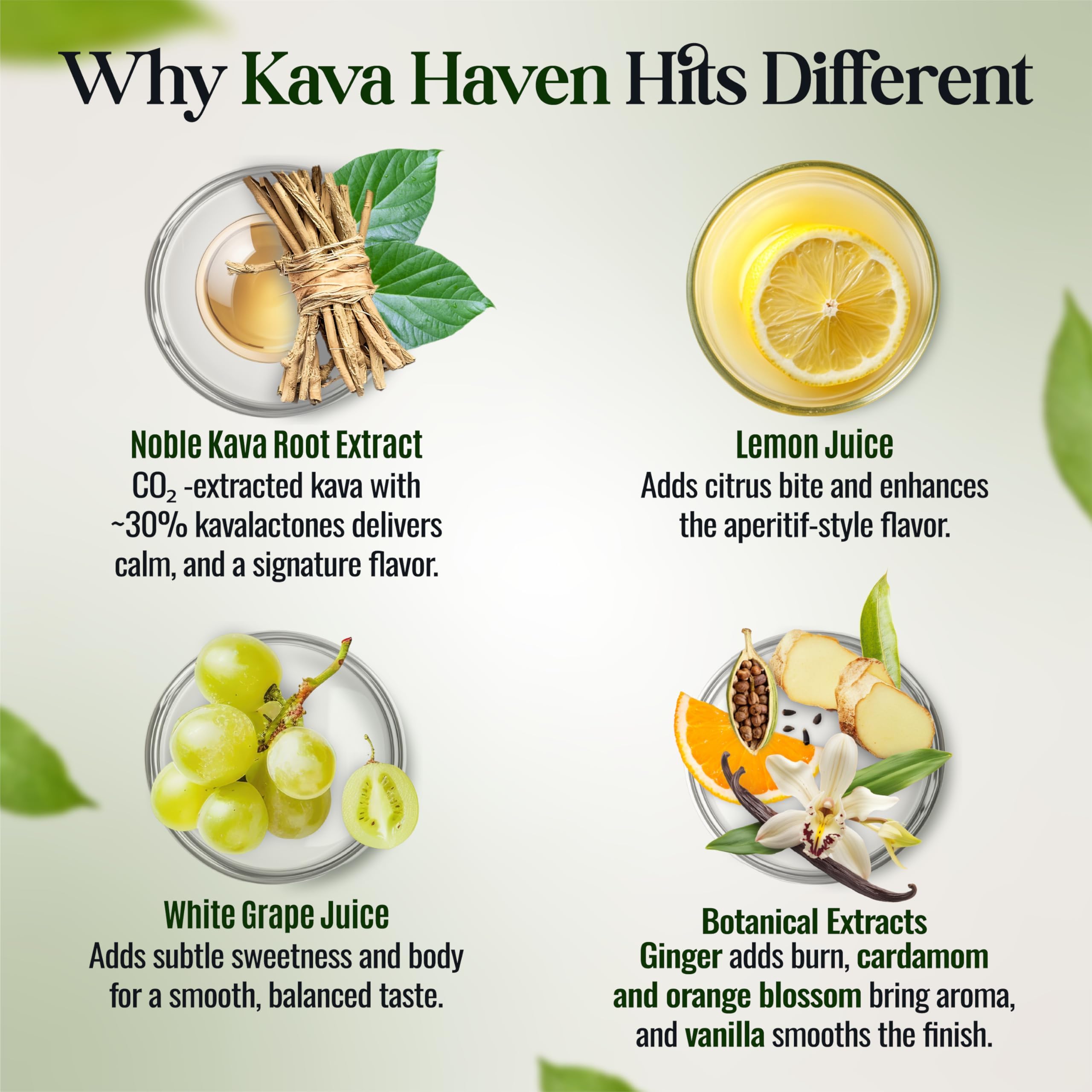 Kava Haven servido en copa de cóctel, muestra versatilidad para recetas sin alcohol