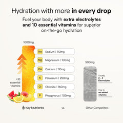 KEY NUTRIENTS etiqueta nutricional enfocada mostrando electrolitos y vitaminas