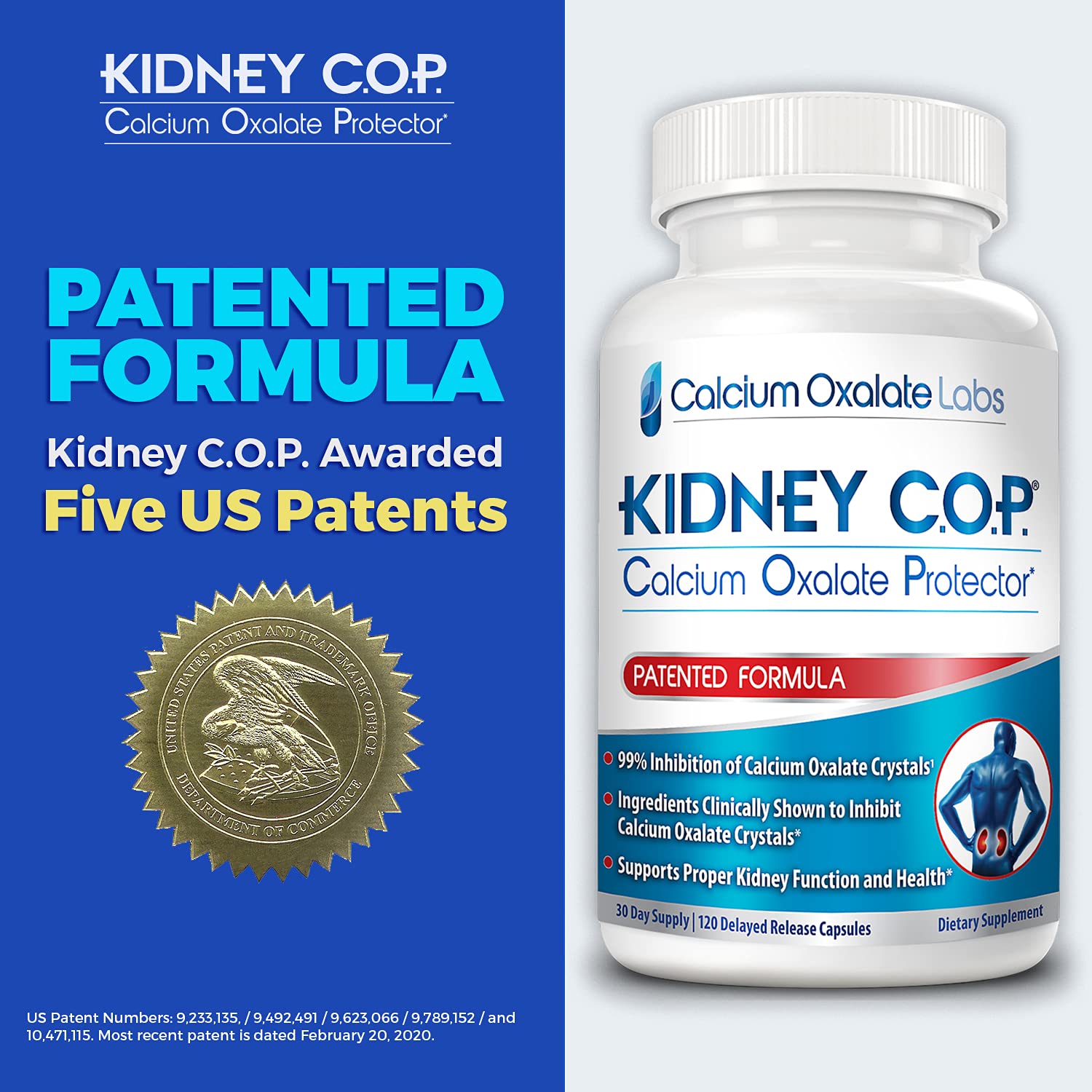 KIDNEY C.O.P. etiqueta con ingredientes y patentes, aporta transparencia y confianza