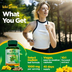 KIKI Green polvo de extracto de gordolobo que muestra concentración y pureza