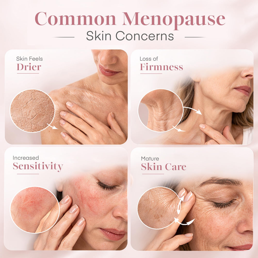 Kissbea ingredientes clave vitamina C B5 y CoQ10 nutren la piel