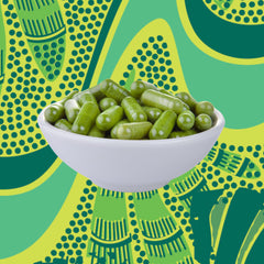 Hojas de moringa secas Kuli Kuli mostrando materia prima natural