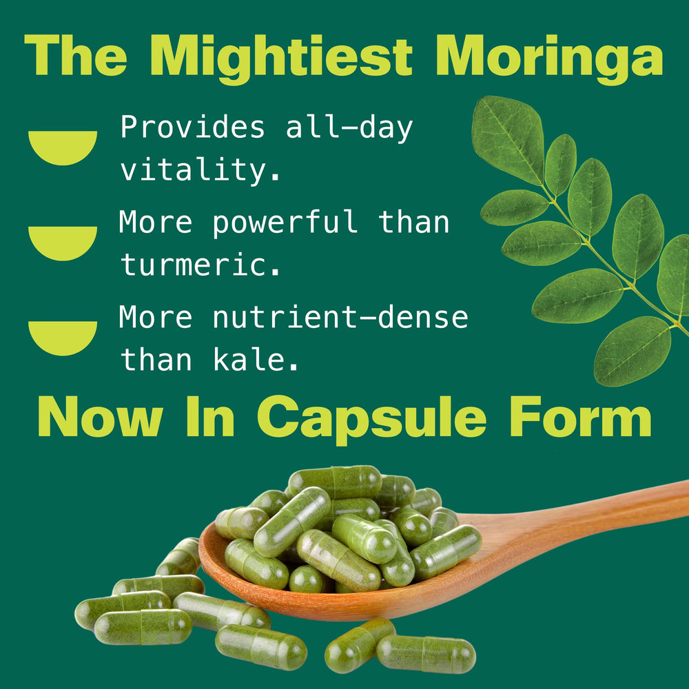 Kuli Kuli hojas de moringa frescas, origen vegetal y sostenible