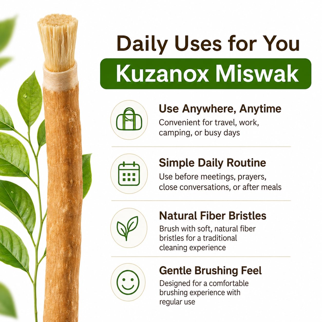 KUZANOX seis unidades alineadas destacando sellado al vacío y conservación
