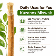KUZANOX miswak junto a regla para comparar tamaño práctico de viaje