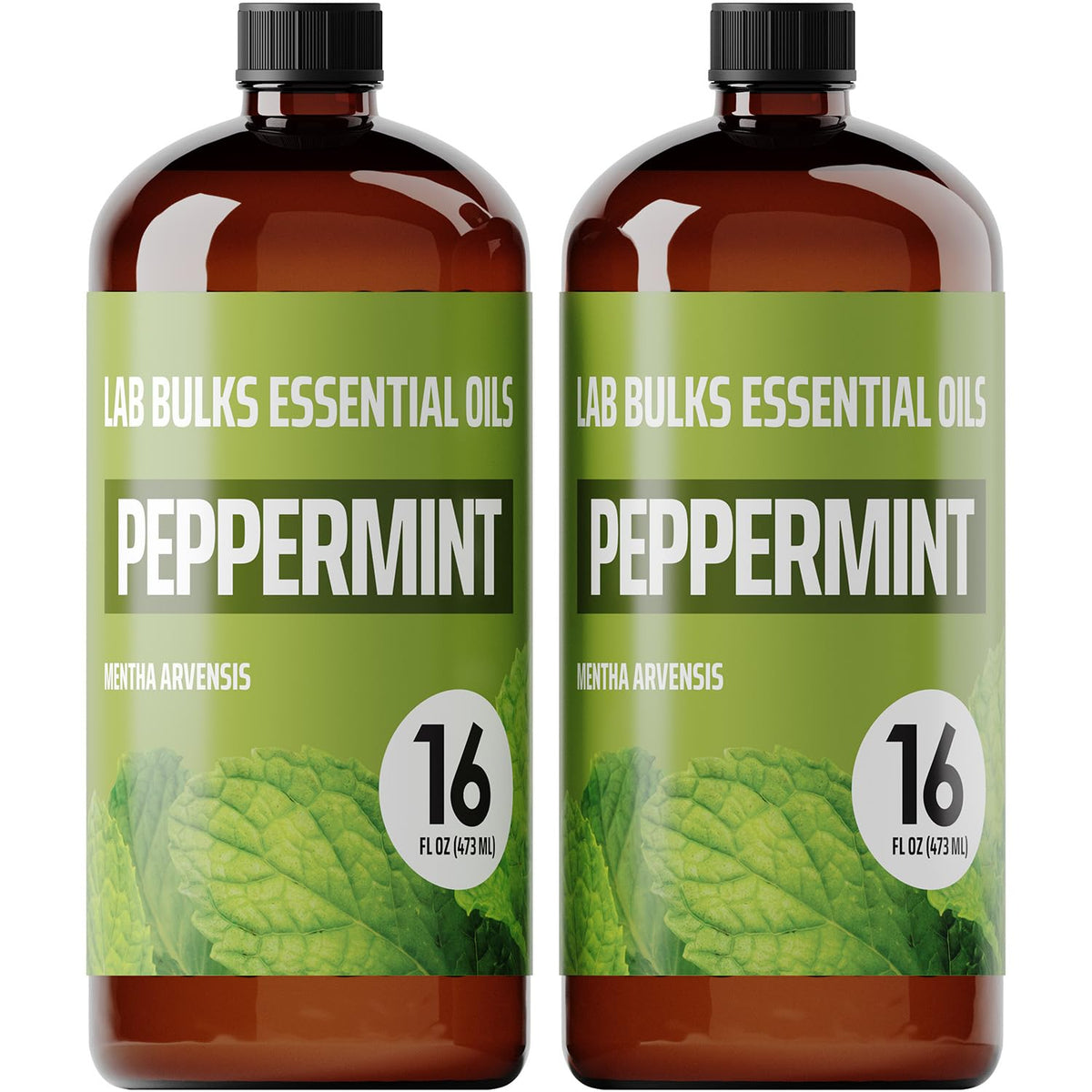 Lab Bulks botella frontal mostrando el pack doble y etiqueta clara