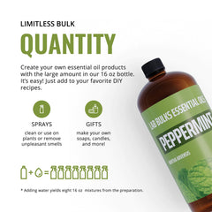Lab Bulks spray casero preparado con aceite de menta para refrescar habitaciones