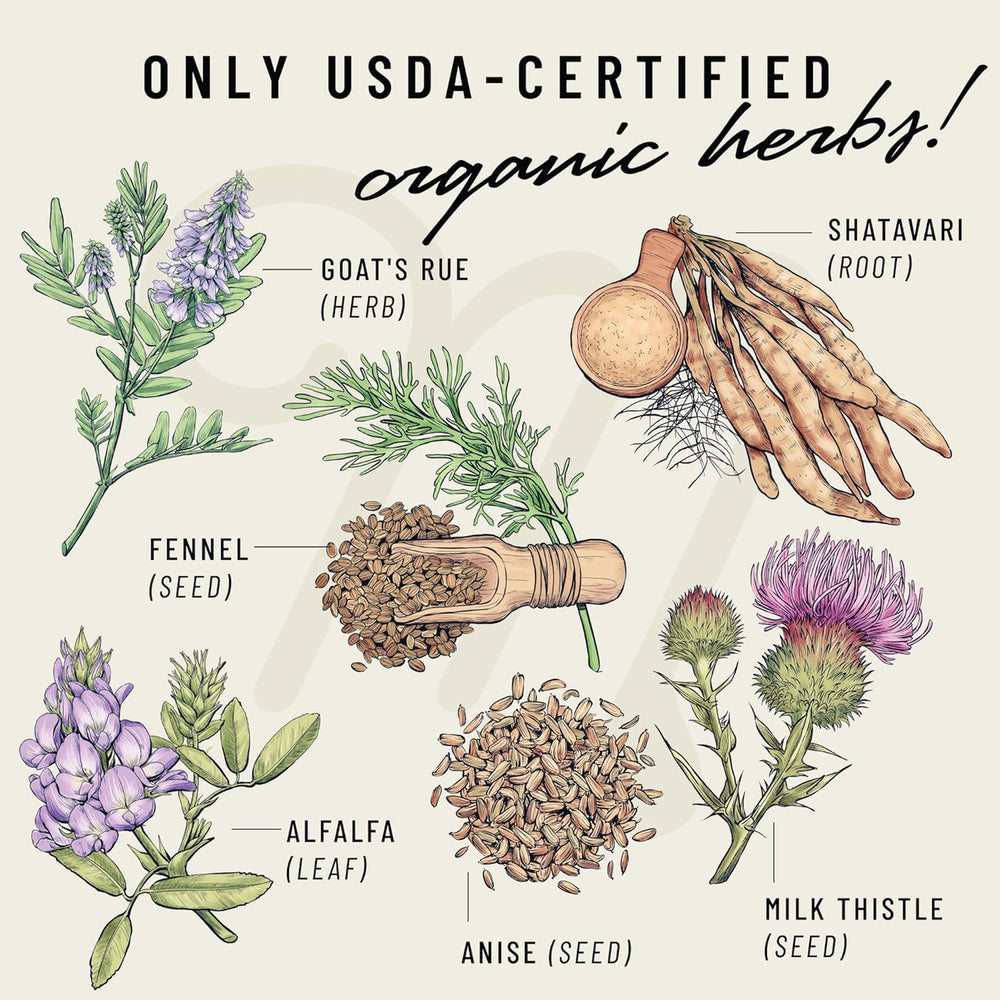 Ingredientes orgánicos: goat's rue, shatavari y hinojo presentados frescos y limpios