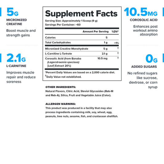 LEGION Recharge sabor fresa kiwi, polvo sabroso para reponer energía después del ejercicio.