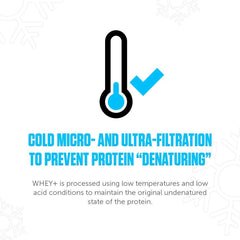 LEGION Whey+ lab certificates verifying third-party testing