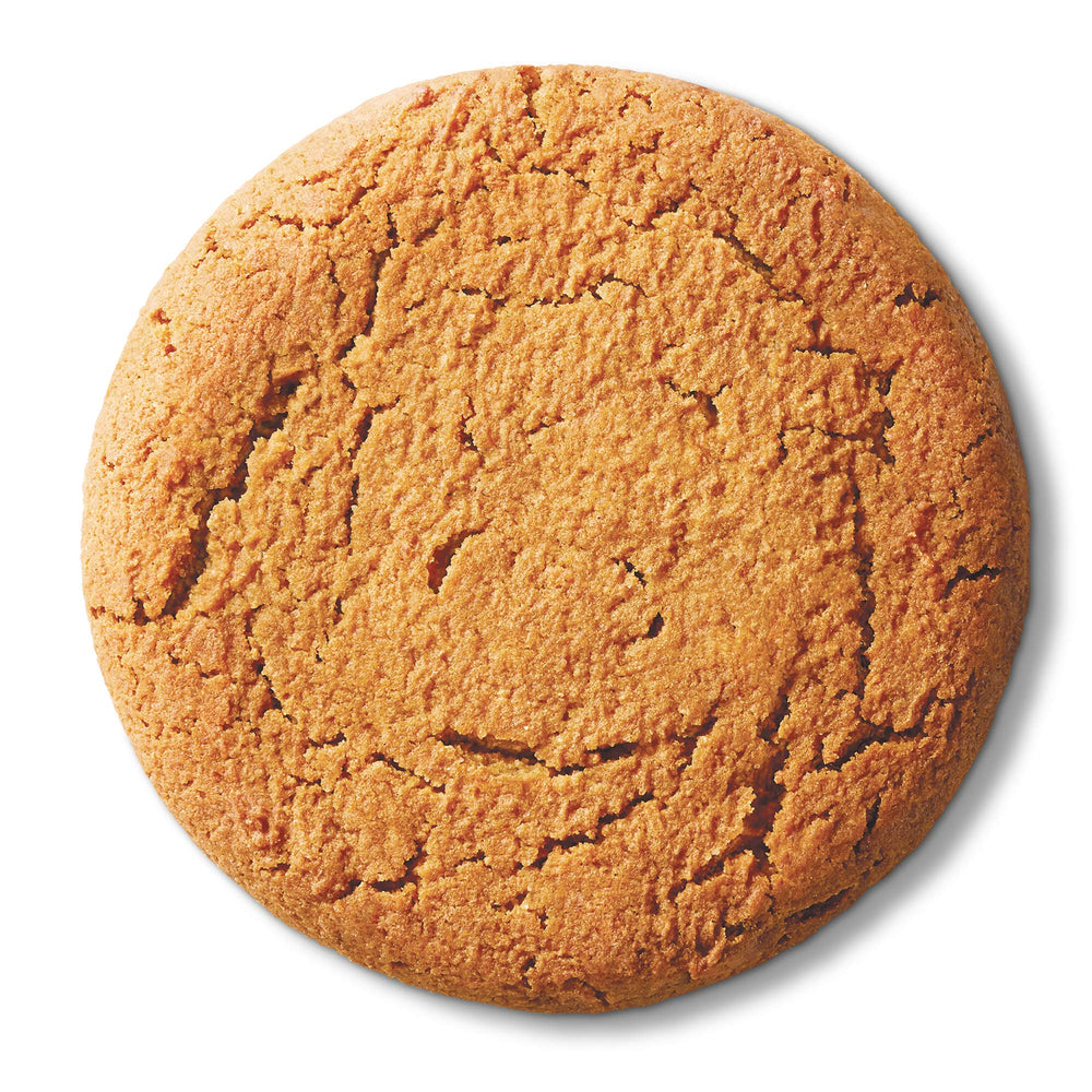 Galleta Lenny & Larry's en una mano demostrando el tamaño real y facilidad para llevar
