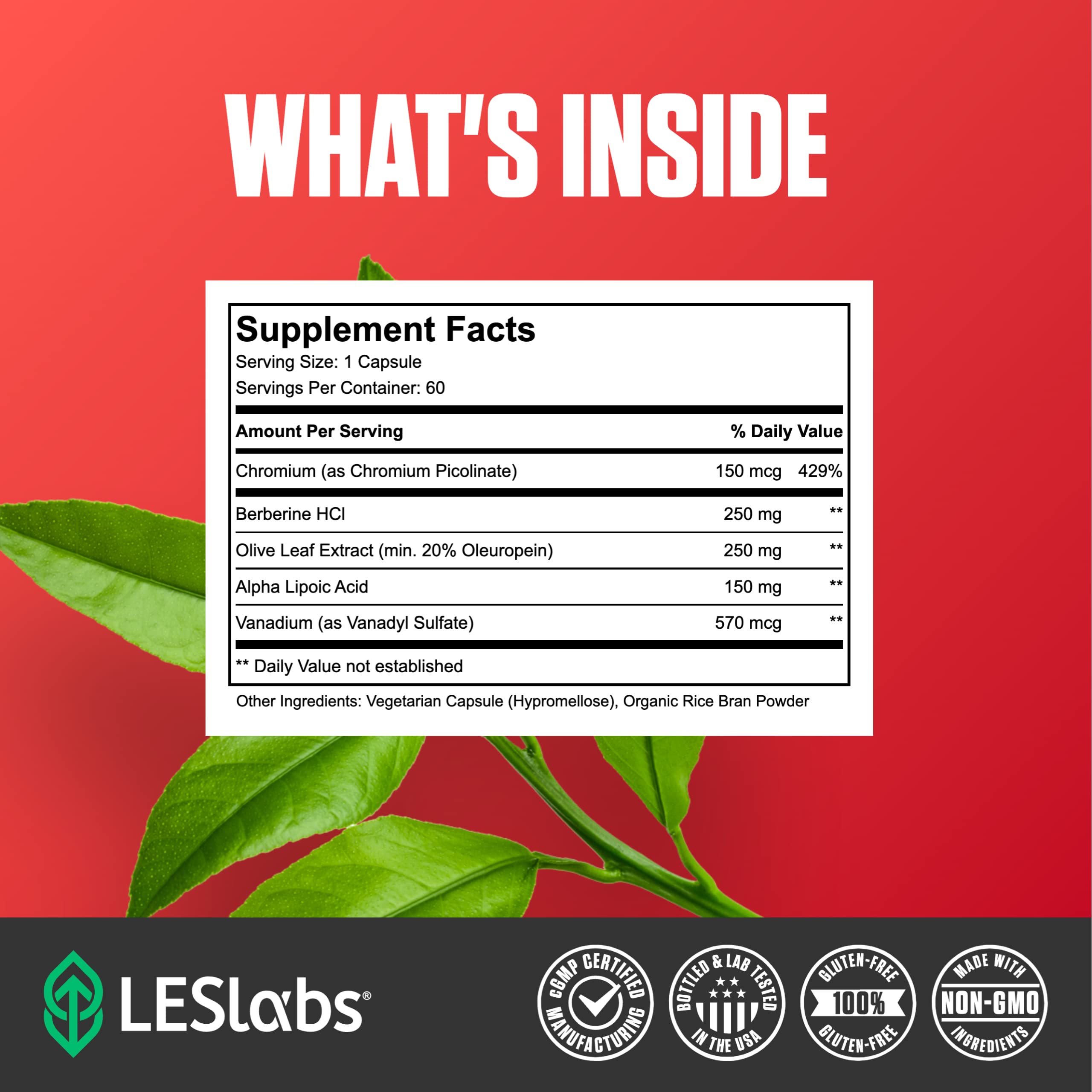 LES Labs ingredientes clave en mesa: berberina, olivo, alfalipoico beneficios